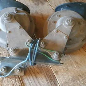 signal maz 24 v