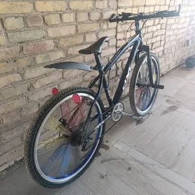 Spartiwny 26 lyk
