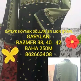 Taýyn köýnek