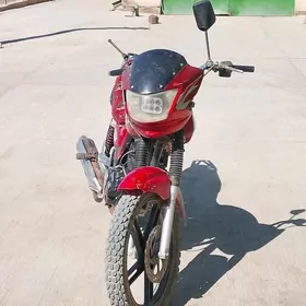 Fekon FK150-8G 2014