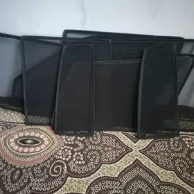 Setka kampılekt