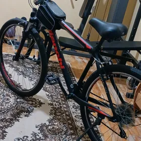 welosiped bianchi aspid 29.