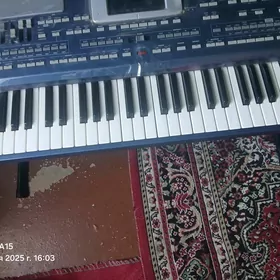 KORG PA 800