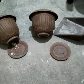 gül ekilyan kuze