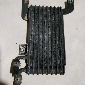 masliwny radiator