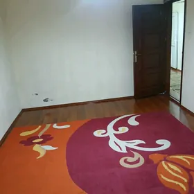 Arenda Jay ànew