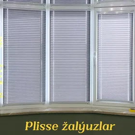 Plisse jalýuz žalyuz zalýuz