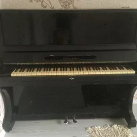 pianino