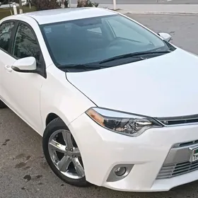Toyota Corolla 2016