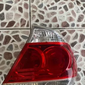 stopnik