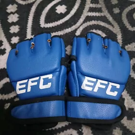 EFC percetki