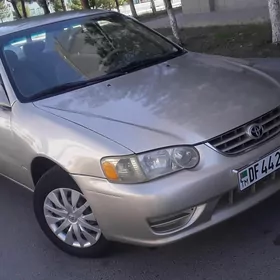Toyota Corolla 2000