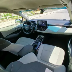 Toyota Corolla 2019