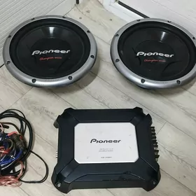 Pioneer Bocka, Usulitel