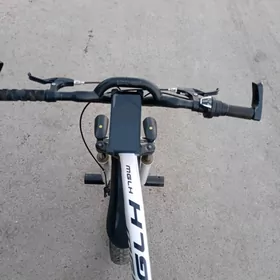 spartivniy velsapet