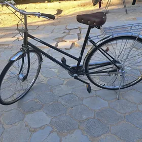 yapon tigir 27
