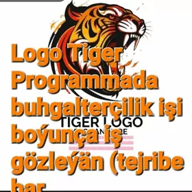 LOGA TIGER BUGALTERIYA