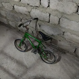 çaga tigir kiçi