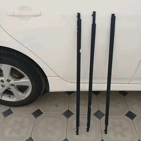 КАРОЛЛА АЙНА ЖАЛАБОК