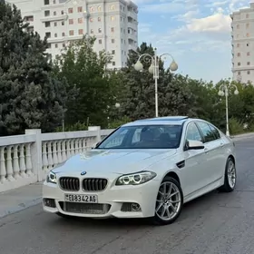 BMW F10 2010