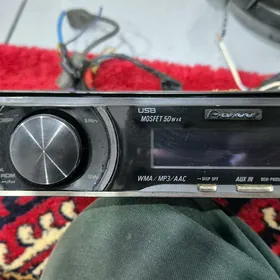 pioneer delfin