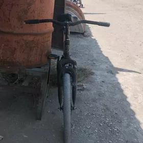 300welik