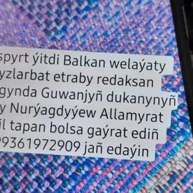 paspyrt ýitdi