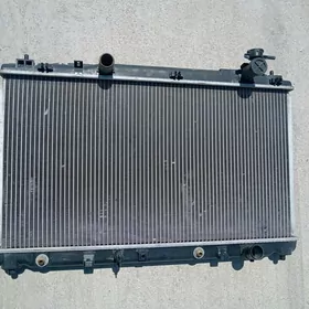 Radiator okuz