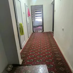 SATLYK PLAN JAÝ ÇOGANLY ARZAN