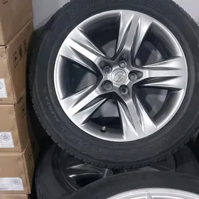 HAYLANDR  R19 RADNOY