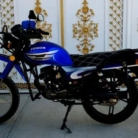 Fekon FK150-8G 2013