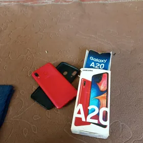 A20