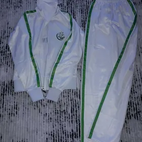 Sportifka bedenterbiye