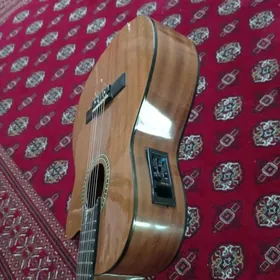 elektra klasik gitar