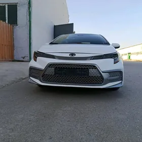 Toyota Corolla 2020