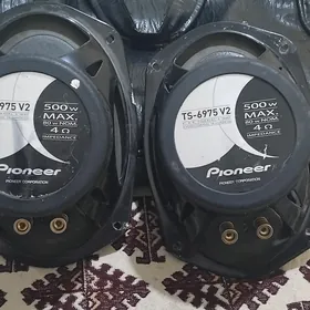 Pioneer 500lik