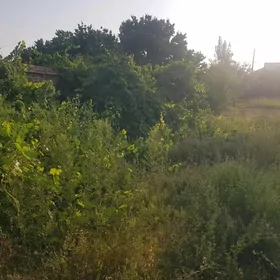 Emlák