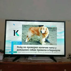 telewizor