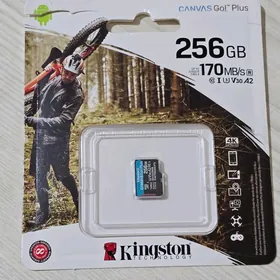 Kingstone CANVAS GO! Plus
