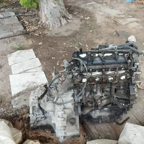 motor koropka