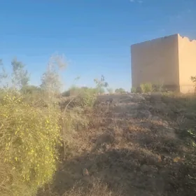 jıl posyolok