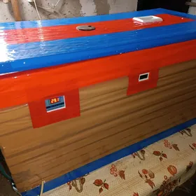 inkubator