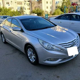 Hyundai Sonata 2010