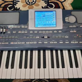 korg pa800