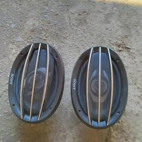Pioneer 1000W