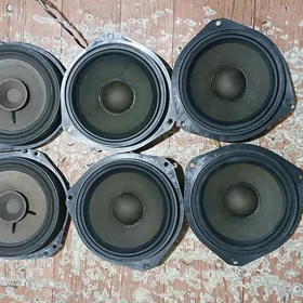 kalonkalar astra G morda