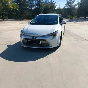 Toyota Corolla 2021