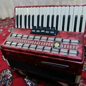Akkordeon