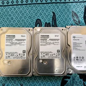1t zoski disk