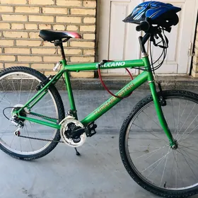Turkmenistan welisoped (welik)
